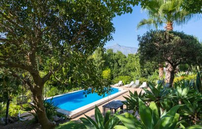 Resale - House - Detached Villa - Marbella - Nueva Andalucia