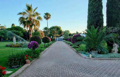 Reventa - House - Detached Villa - Marbella - Guadalmina Baja