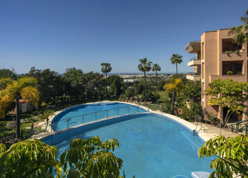 Resale - Apartment - Middle Floor Apartment - Marbella - Nueva Andalucia