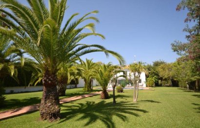 Reventa - House - Detached Villa - Marbella - Guadalmina Baja