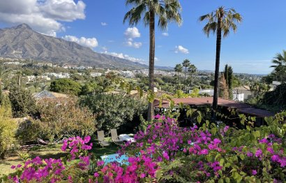 Resale - House - Detached Villa - Marbella - Nueva Andalucia