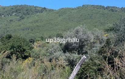 Reventa - Plot - Land - Casares - Casares Centro