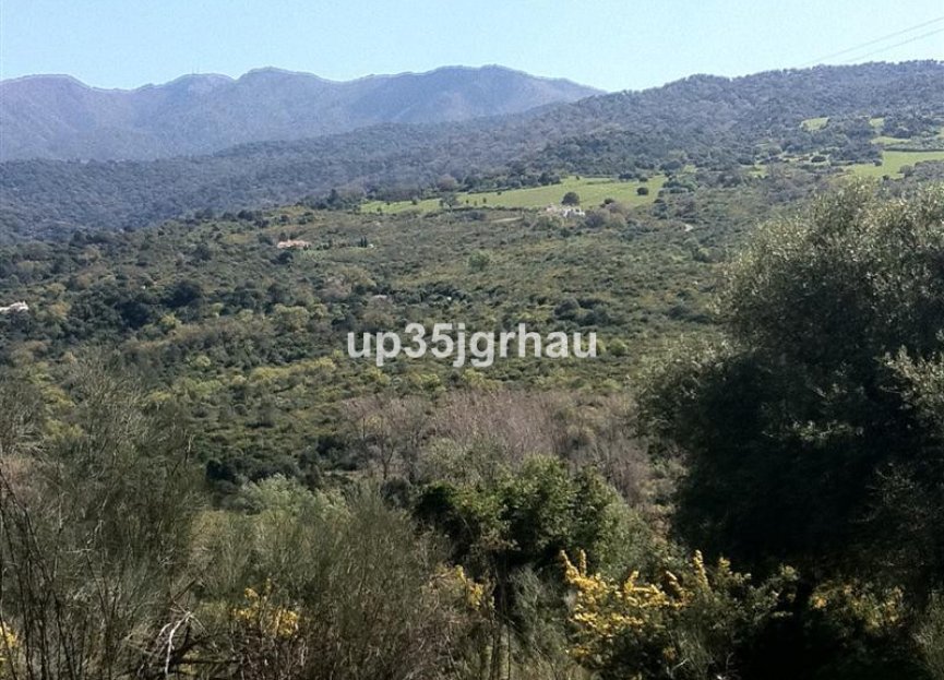 Reventa - Plot - Land - Casares - Casares Centro