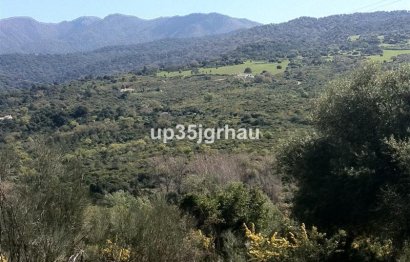 Reventa - Plot - Land - Casares - Casares Centro