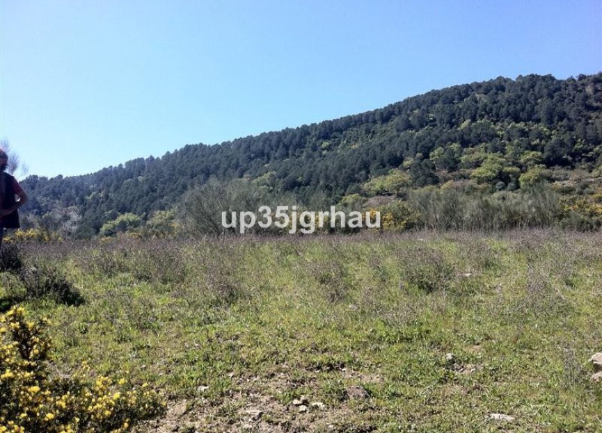 Reventa - Plot - Land - Casares - Casares Centro