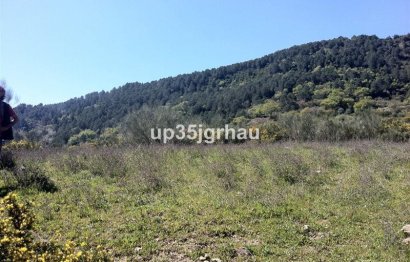 Reventa - Plot - Land - Casares - Casares Centro