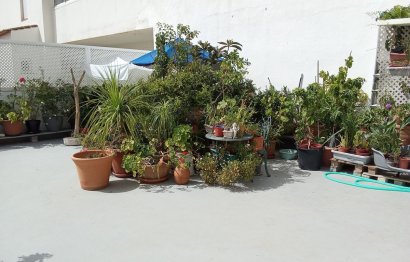 Resale - Apartment - Top Floor Apartment - Estepona - Estepona Centro