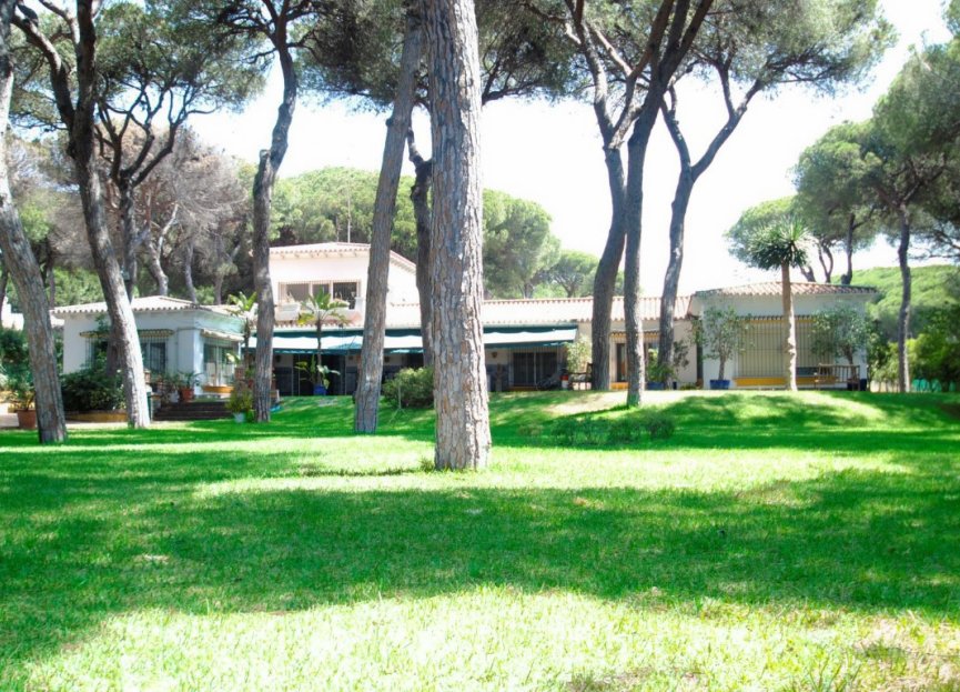 Resale - House - Detached Villa - Marbella - Elviria