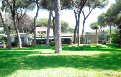 Resale - House - Detached Villa - Marbella - Elviria