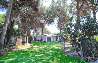 Reventa - House - Detached Villa - Marbella - Elviria