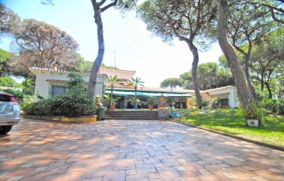 Resale - House - Detached Villa - Marbella - Elviria