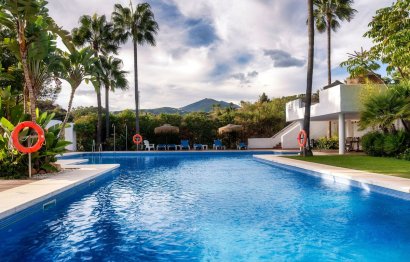 Resale - Apartment - Ground Floor Apartment - Marbella - Nueva Andalucia