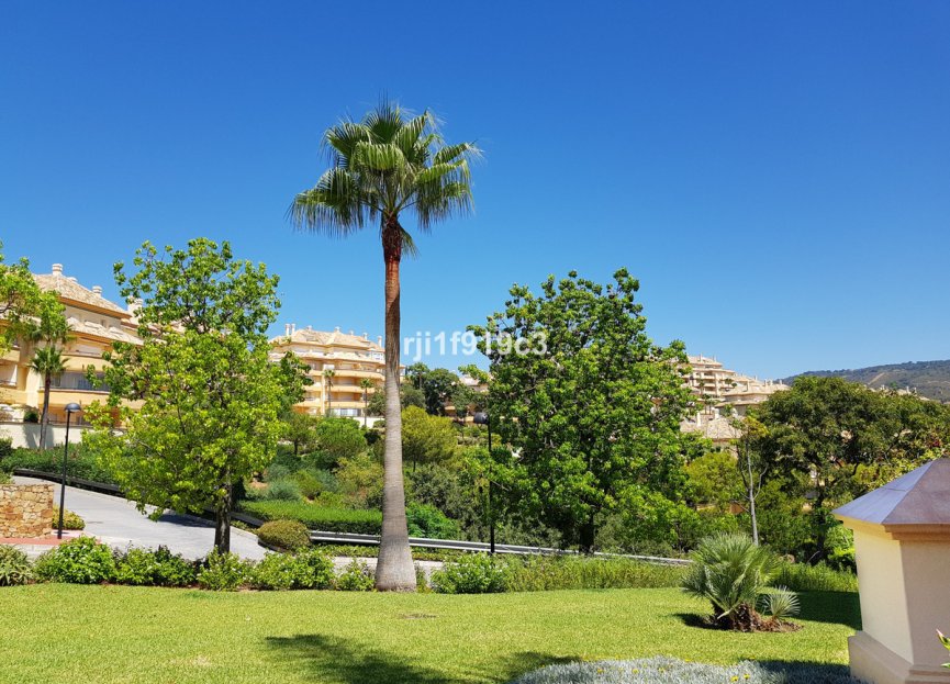 Reventa - Apartment - Ground Floor Apartment - Marbella - Elviria