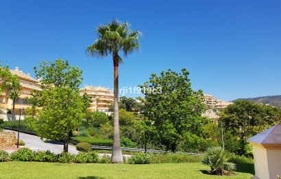 Resale - Apartment - Ground Floor Apartment - Marbella - Elviria