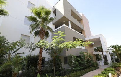 Reventa - Apartment - Penthouse - Marbella - Nueva Andalucia