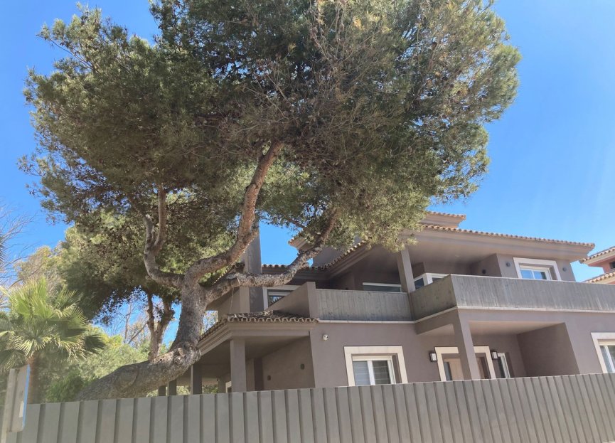 Resale - House - Detached Villa - Marbella - Elviria