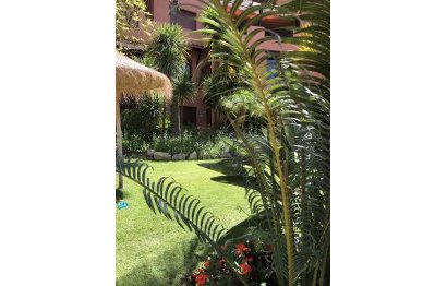 Reventa - Apartment - Ground Floor Apartment - Marbella - El Rosario