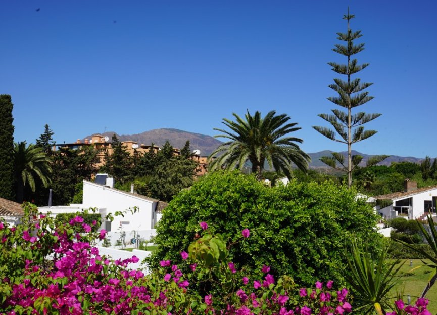 Resale - House - Detached Villa - Estepona - Estepona Centro