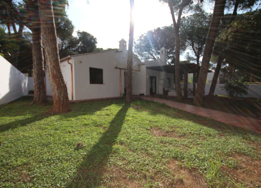 Resale - House - Detached Villa - Marbella - Elviria