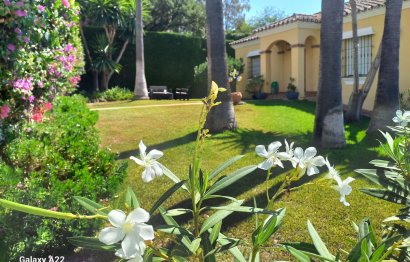 Reventa - House - Detached Villa - Estepona - Estepona Centro