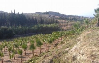 Reventa - Plot - Land - Estepona - Estepona Centro