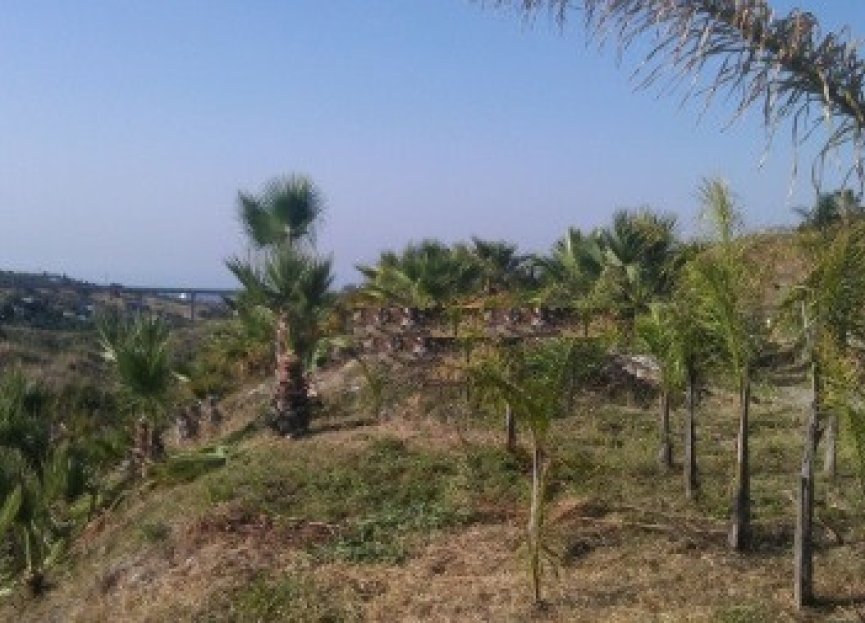 Reventa - Plot - Land - Estepona - Estepona Centro