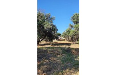 Reventa - Plot - Land - Marbella - San Pedro De Alcantara