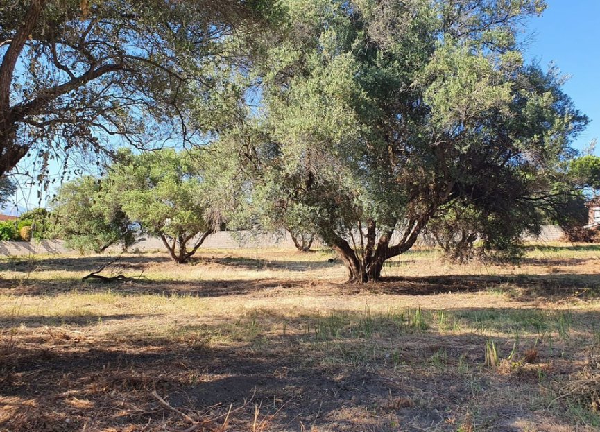 Reventa - Plot - Land - Marbella - San Pedro De Alcantara