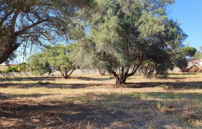 Resale - Plot - Land - Marbella - San Pedro De Alcantara