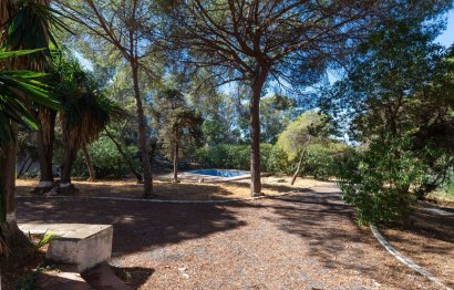 Reventa - House - Detached Villa - Marbella - Elviria