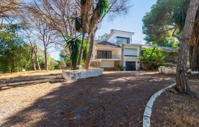 Reventa - House - Detached Villa - Marbella - Elviria