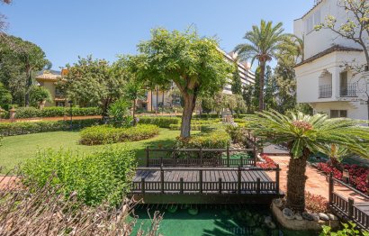 Resale - Apartment - Ground Floor Apartment - Marbella - Marbella Centro