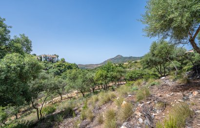 Resale - Plot - Land - Benahavís - La Zagaleta