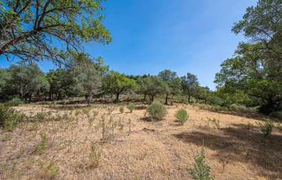 Resale - Plot - Land - Benahavís - La Zagaleta