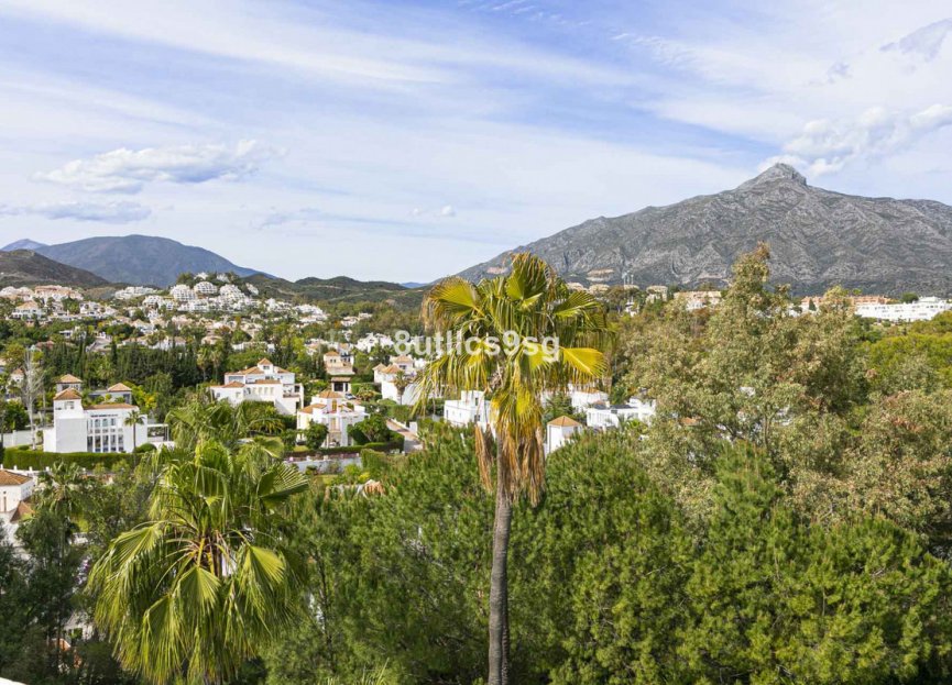 Resale - Apartment - Middle Floor Apartment - Marbella - Nueva Andalucia