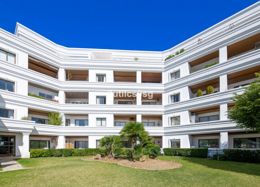 Resale - Apartment - Middle Floor Apartment - Marbella - Nueva Andalucia