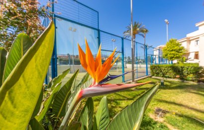 Resale - Apartment - Middle Floor Apartment - Estepona - Estepona Centro