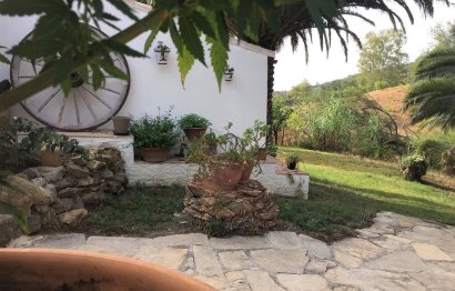 Reventa - House - Finca - Cortijo - Casares - Casares Centro