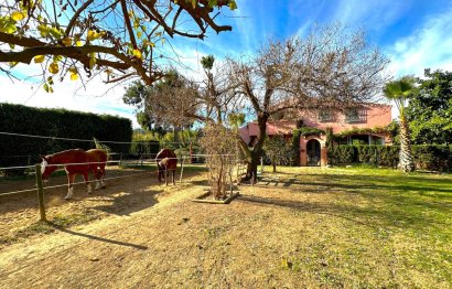 Resale - House - Finca - Cortijo - Estepona - Estepona Centro