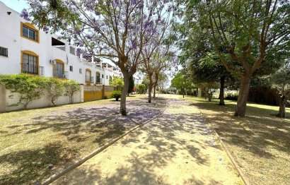 Resale - House - Semi-Detached House - Marbella - San Pedro De Alcantara