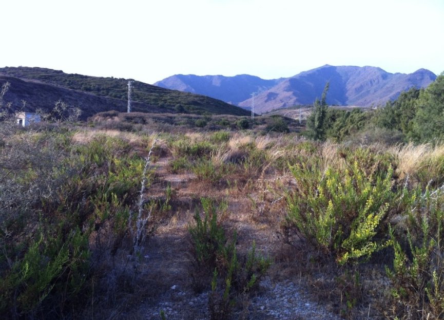 Resale - Plot - Land - Casares - Casares Centro