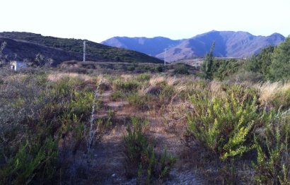 Resale - Plot - Land - Casares - Casares Centro