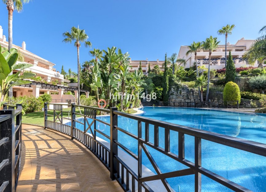 Reventa - Apartment - Penthouse - Marbella - Nueva Andalucia