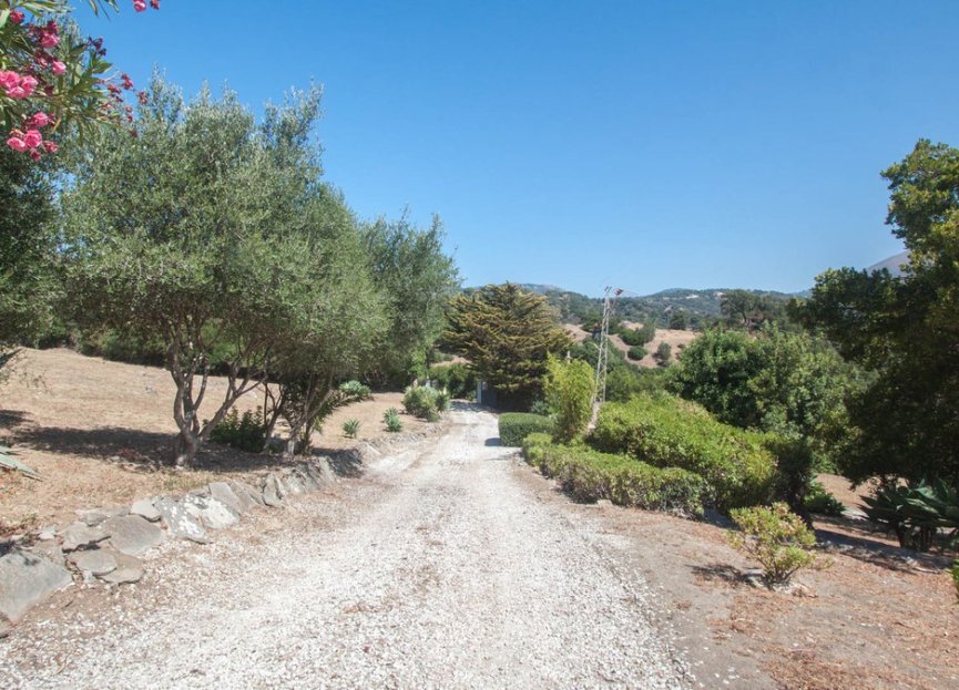 Resale - House - Finca - Cortijo - Casares - Casares Centro