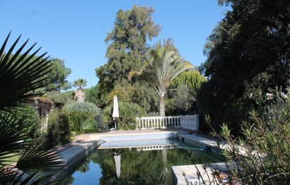 Resale - House - Detached Villa - Marbella - Elviria