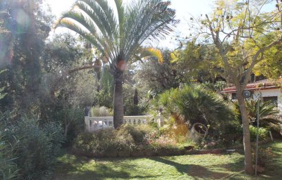 Resale - House - Detached Villa - Marbella - Elviria