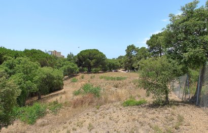 Reventa - Plot - Residential Plot - Marbella - Hacienda Las Chapas