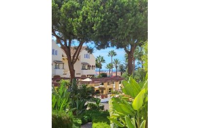 Resale - Apartment - Top Floor Apartment - Marbella - Elviria