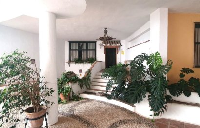 Resale - Apartment - Ground Floor Apartment - Marbella - Puerto de Cabopino