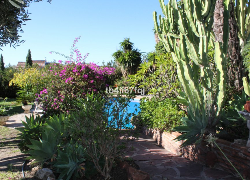 Resale - House - Detached Villa - Estepona - Atalaya